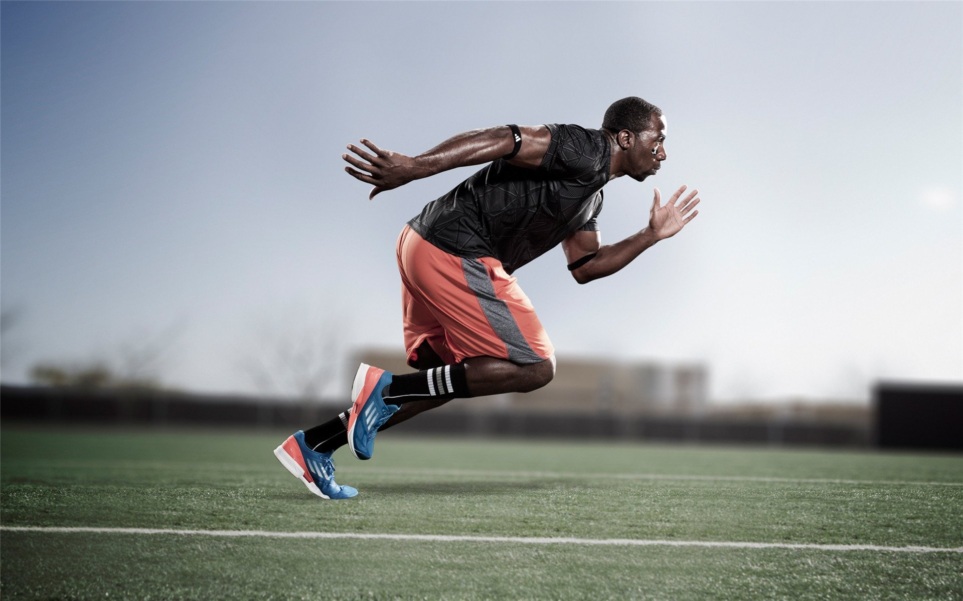 日本队在赛场上取得胜利，日本队又赢了哪部番